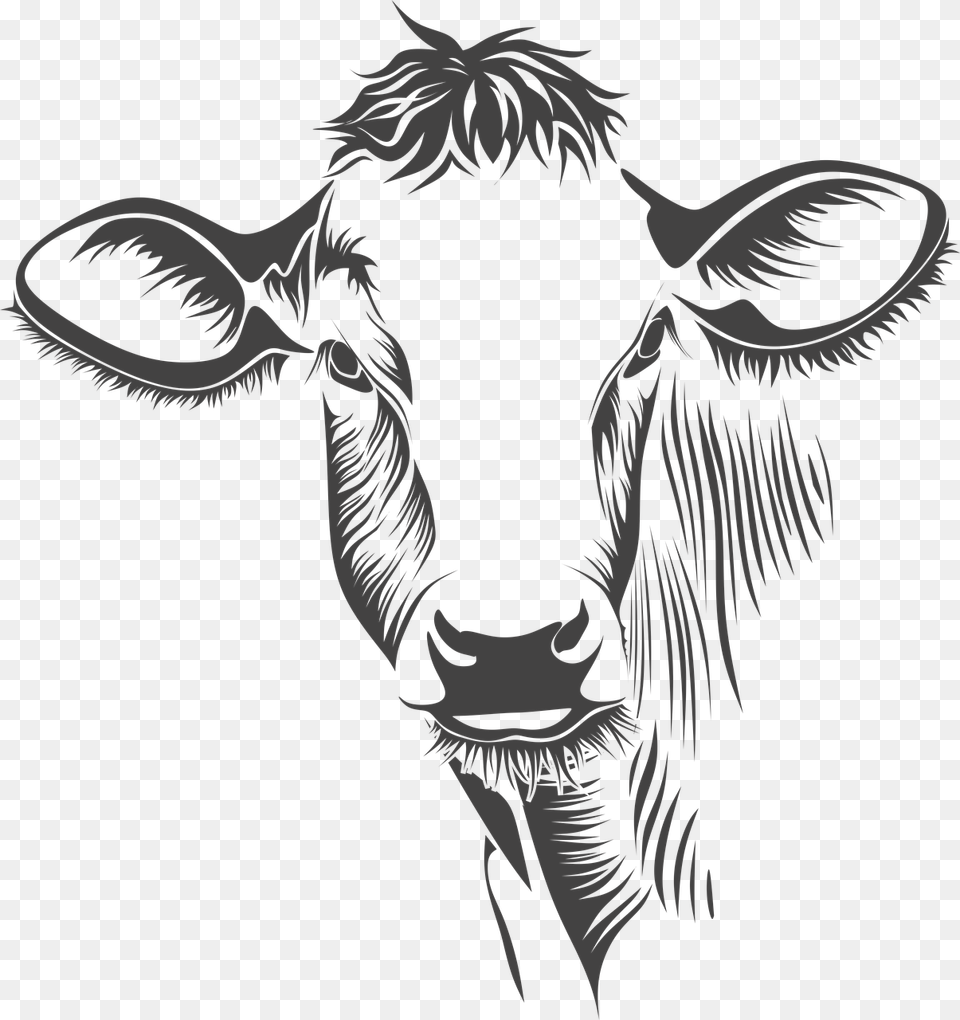 Cow Face On Canvas, Person, Animal, Cattle, Livestock Png