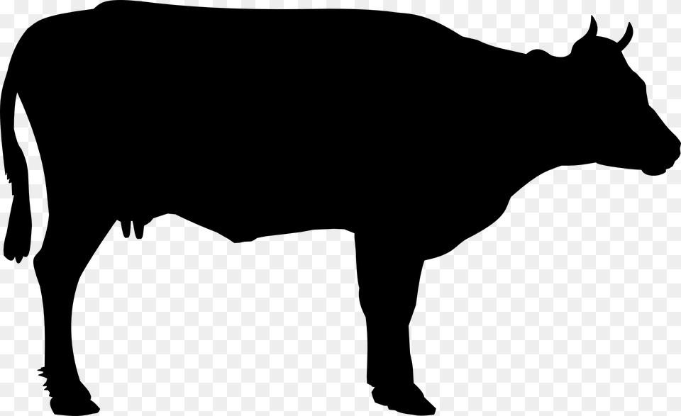 Cow Feet Clipart, Gray Png