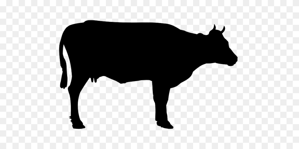 Cow Files Vectors Graphics, Gray Free Transparent Png