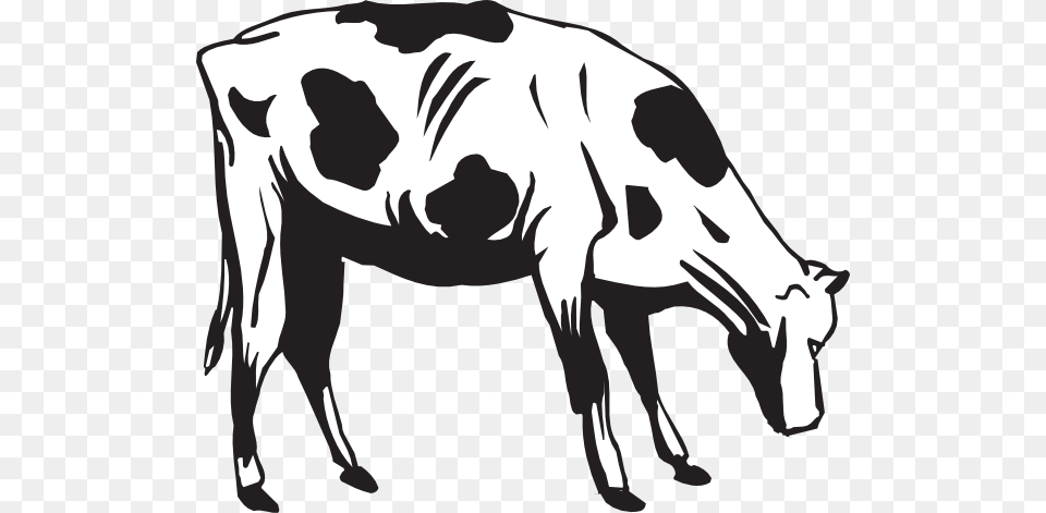 Cow Going To Eat Clip Art, Animal, Cattle, Dairy Cow, Livestock Png
