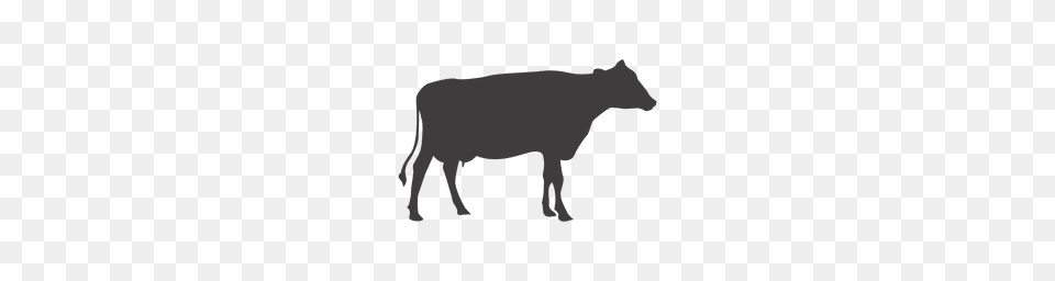 Cow Grazing Silhouette, Animal, Cattle, Livestock, Mammal Free Png Download