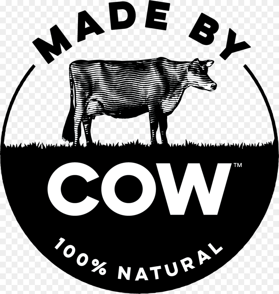 Cow Hd, Animal, Mammal, Wildlife, Zebra Free Transparent Png