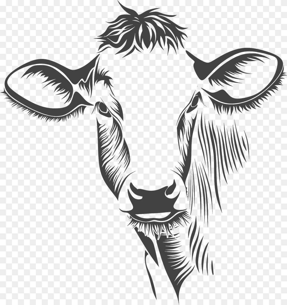 Cow Head Black And White Clipart, Animal, Cattle, Livestock, Mammal Png Image