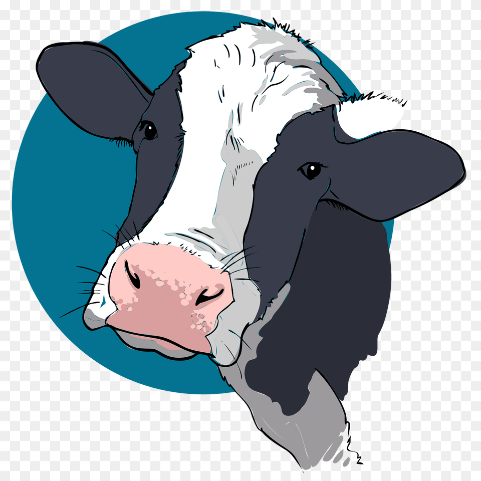 Cow Head Clipart, Animal, Cattle, Mammal, Livestock Free Transparent Png