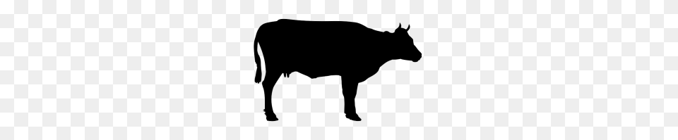 Cow Holstein Clip Art Download, Animal, Bull, Cattle, Livestock Png Image