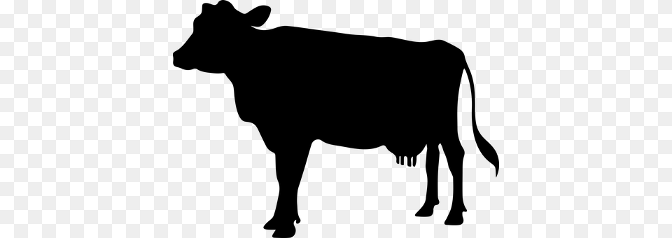 Cow Icon Gray Png Image