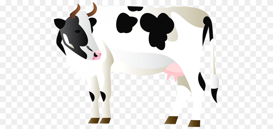 Cow Image Cows Picture Download, Animal, Cattle, Dairy Cow, Livestock Free Transparent Png