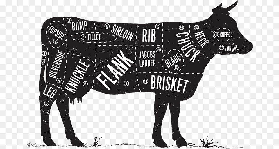 Cow In Cuts, Animal, Mammal, Cattle, Livestock Free Png Download