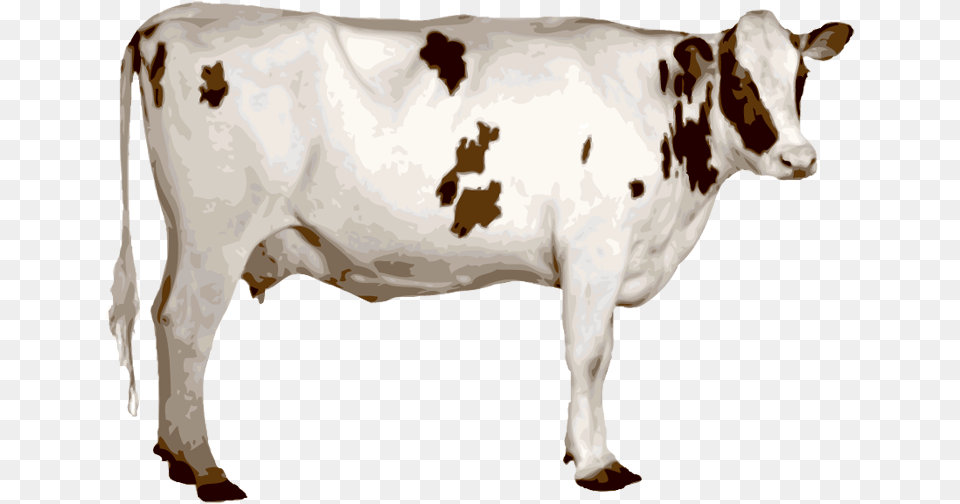 Cow Indian Cow, Animal, Cattle, Livestock, Mammal Free Png