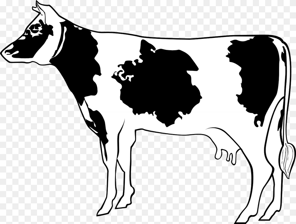 Cow Livestock Cattle Farm Animal Beef Milk Cartoon Cow Side View, Dairy Cow, Mammal, Adult, Person Free Transparent Png