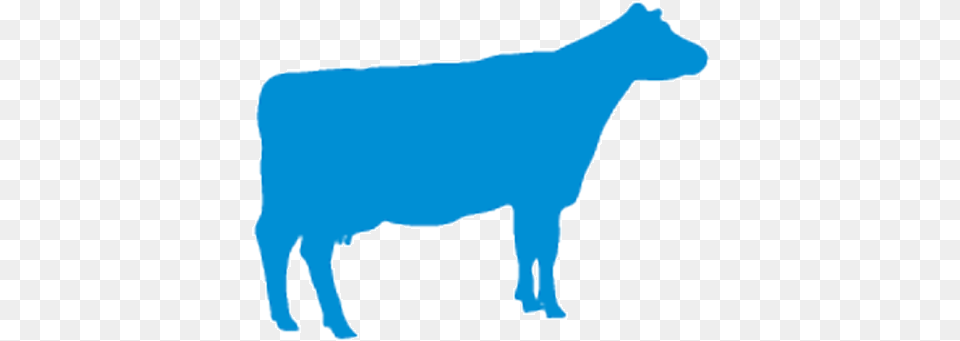 Cow Logo Milk Cow Logo, Animal, Cattle, Livestock, Mammal Free Png Download
