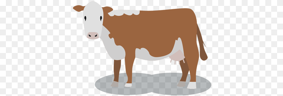 Cow Meat Animal Brown Cow Background, Cattle, Dairy Cow, Livestock, Mammal Free Png