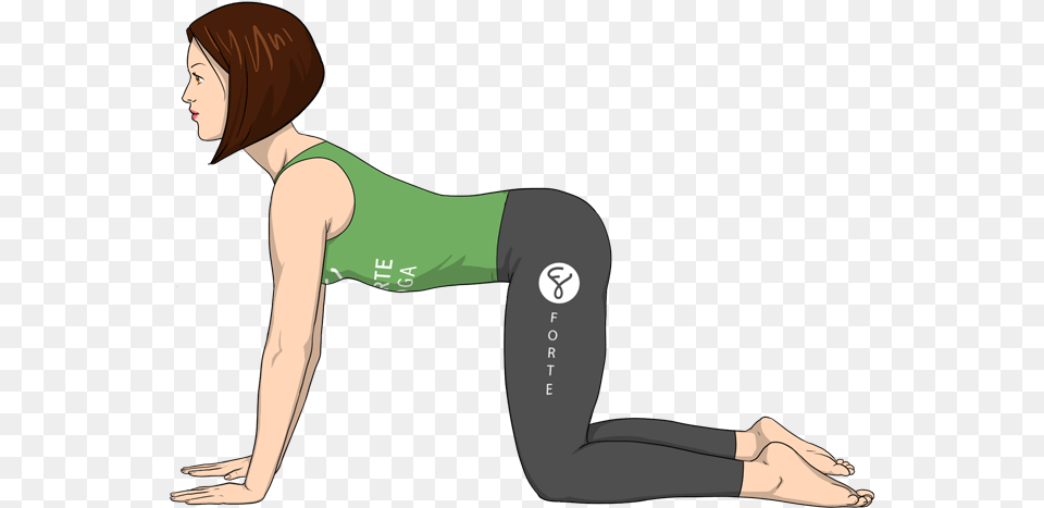 Cow Pose Forte Yoga, Adult, Female, Person, Woman Free Png Download