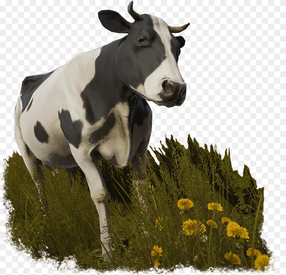 Cow Sansbg Pure Farming 2018 Animals, Animal, Cattle, Livestock, Mammal Free Png