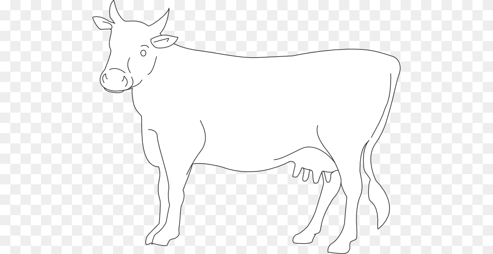 Cow Side View Outline Clip Art, Animal, Cattle, Livestock, Mammal Free Transparent Png