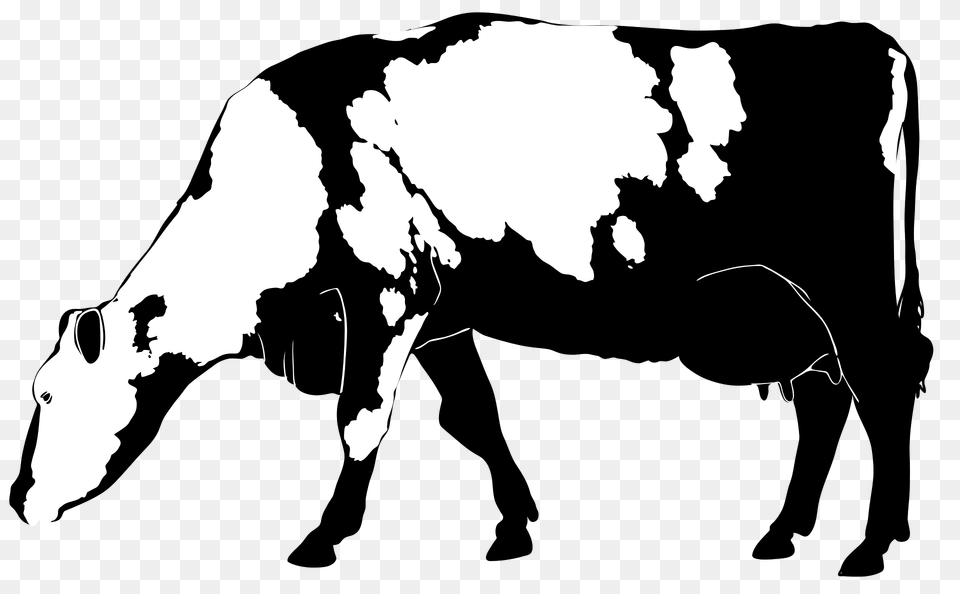 Cow Silhouette 02 Clipart, Animal, Cattle, Livestock, Mammal Png Image