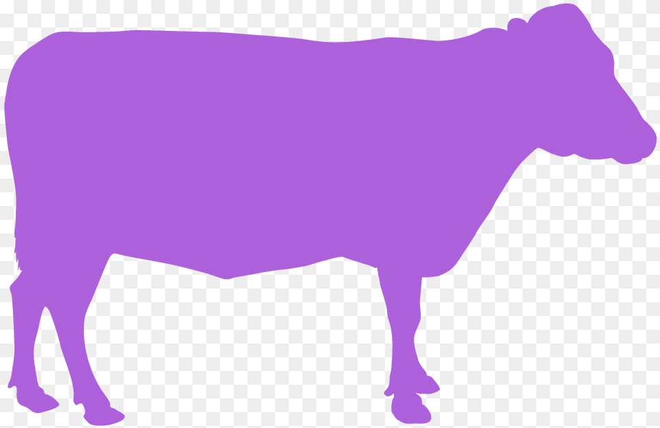Cow Silhouette, Livestock, Animal, Cattle, Mammal Free Png