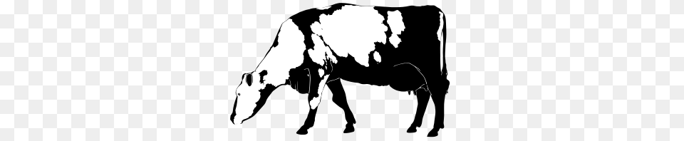 Cow Silhouette, Stencil, Adult, Wedding, Person Png Image