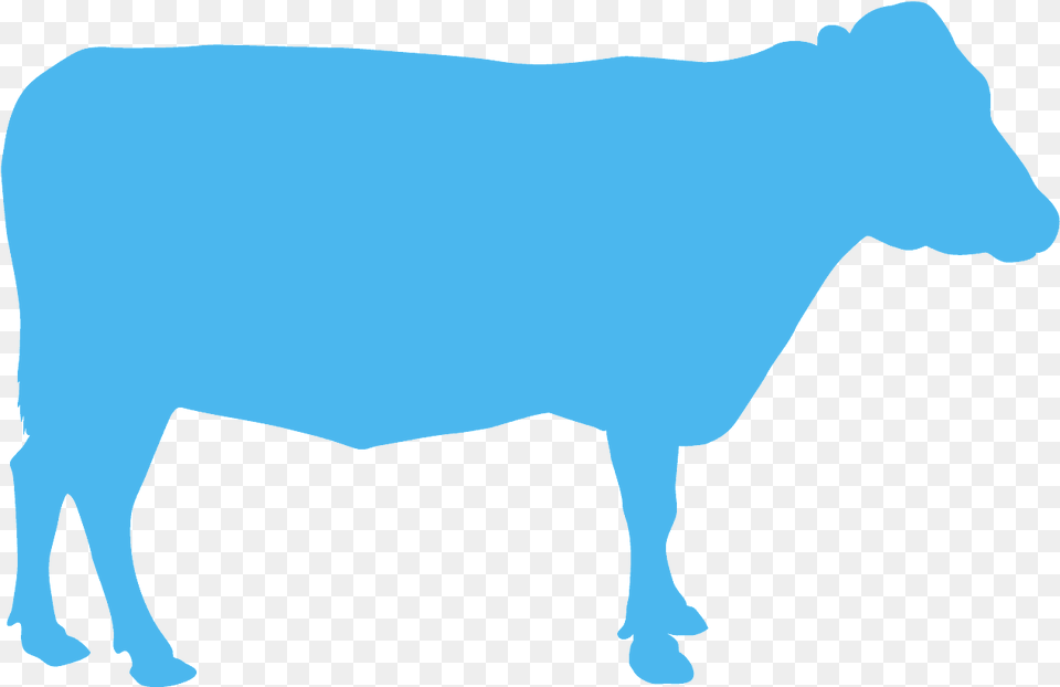 Cow Silhouette Blue, Animal, Cattle, Livestock, Mammal Png Image