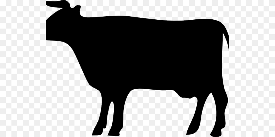 Cow Silhouette Clipart, Livestock, Animal, Mammal, Cattle Png Image