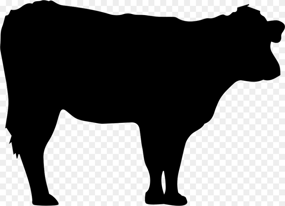 Cow Silhouette Cow Silhouette, Angus, Animal, Bull, Mammal Png Image