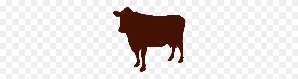 Cow Silhouette Cow Silhouette, Animal, Bull, Cattle, Livestock Png Image