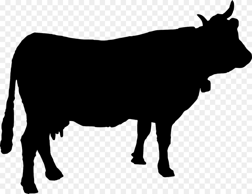 Cow Silhouette Vector, Animal, Bull, Mammal, Cattle Png Image