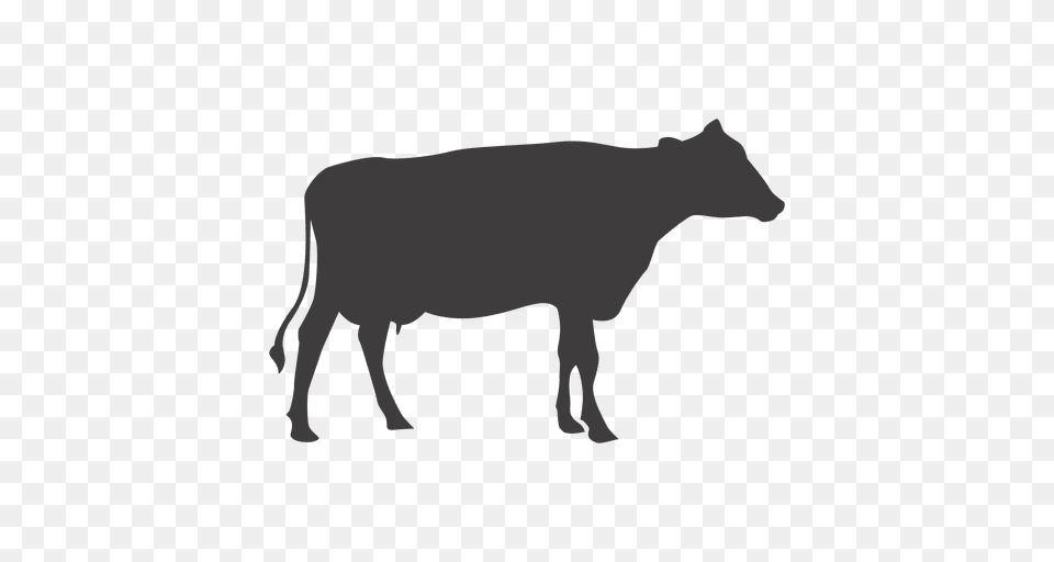Cow Silhouette Vector, Animal, Cattle, Livestock, Mammal Png Image