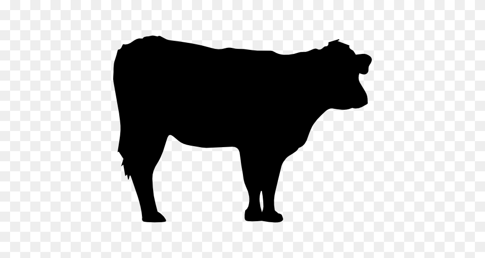Cow Silhouette Vector Icons Designed, Animal, Bull, Mammal, Angus Free Png Download