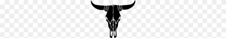 Cow Skull, Gray Png Image