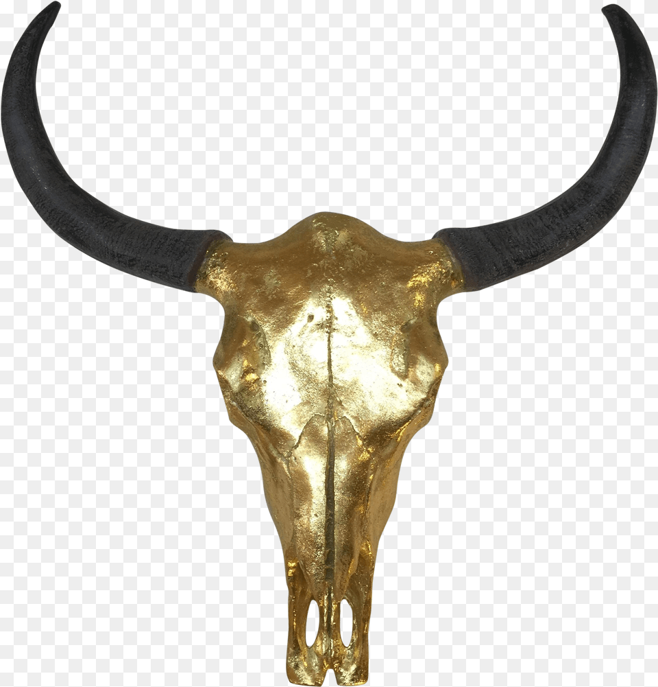 Cow Skull, Animal, Mammal, Bull, Knife Png Image