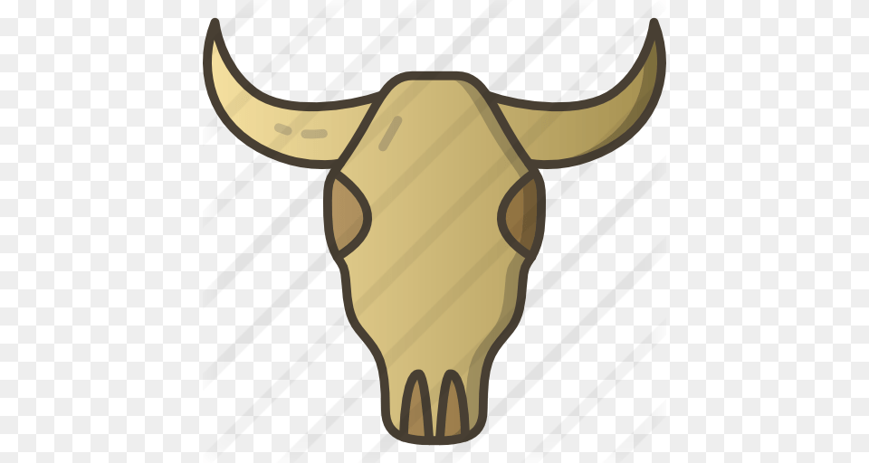 Cow Skull, Animal, Bull, Cattle, Livestock Free Png