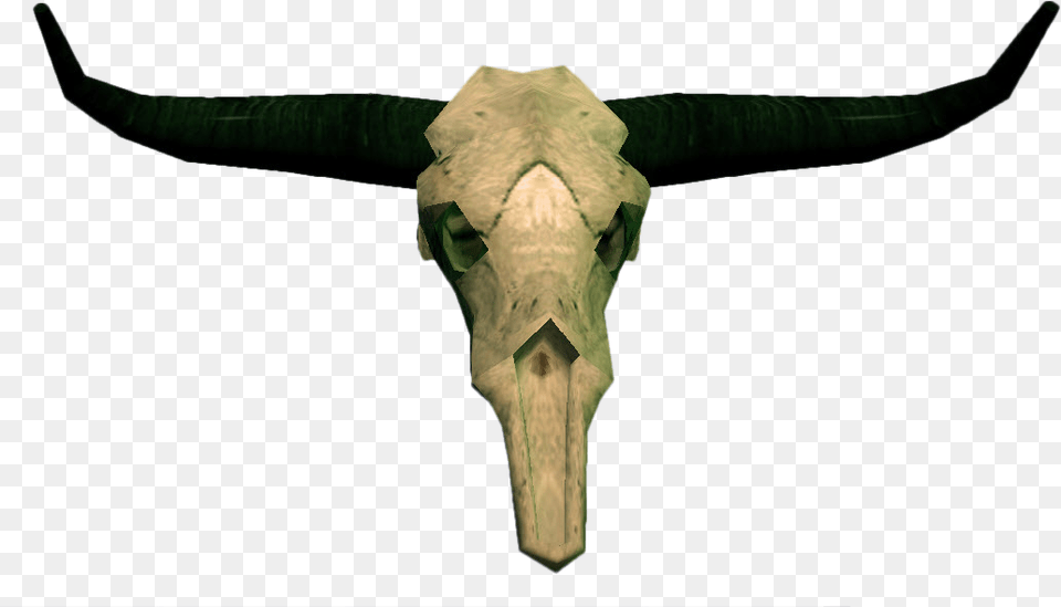 Cow Skull Bull Skull, Animal, Mammal, Cattle, Livestock Png Image