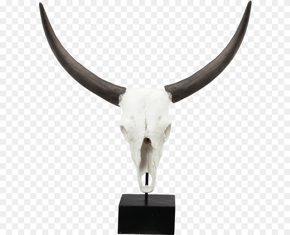 Cow Skull Cattle, Weapon, Knife, Dagger, Blade Free Png Download