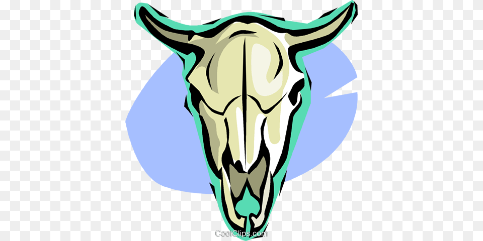 Cow Skull Royalty Vector Clip Art Illustration, Baby, Person, Animal, Mammal Free Transparent Png