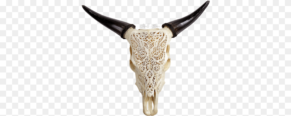 Cow Skulls Small Horns Tribal Animal Skull Engravings, Ivory, Weapon, Blade, Dagger Png