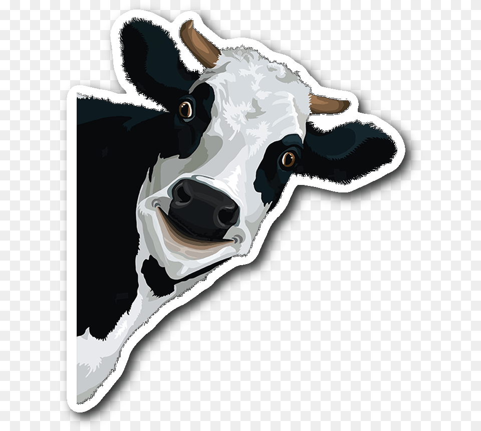 Cow Sticker, Animal, Cattle, Livestock, Mammal Free Transparent Png