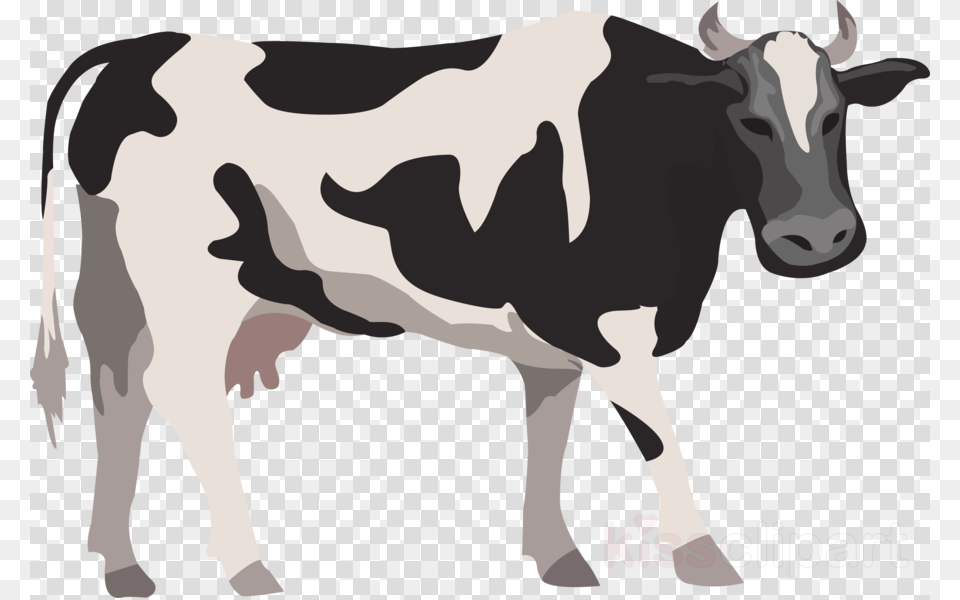 Cow Vector Clipart Holstein Friesian Cattle Beef Cow Vector, Animal, Dairy Cow, Livestock, Mammal Free Png