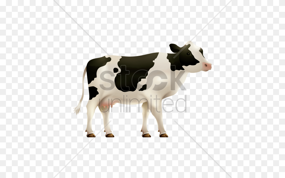 Cow Vector Dairy Cow, Animal, Cattle, Dairy Cow, Livestock Png Image
