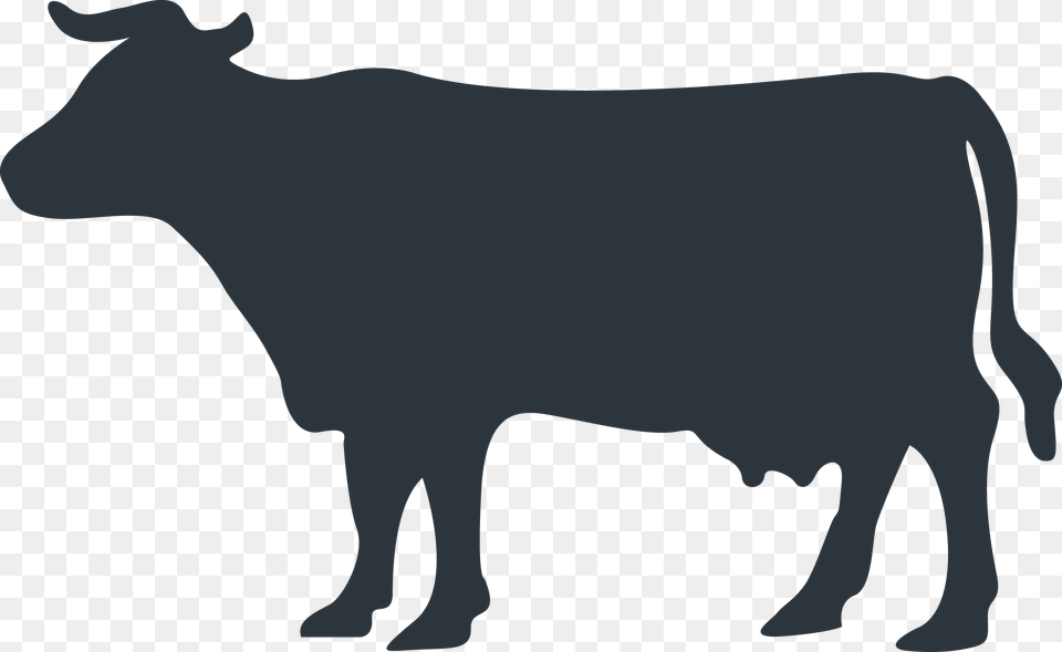 Cow Vector Farm Animal Silhouette, Bull, Mammal, Cattle, Livestock Free Png
