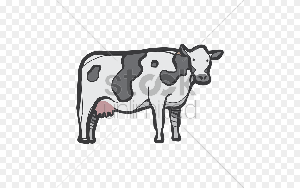 Cow Vector Animal, Cattle, Dairy Cow, Livestock Png Image
