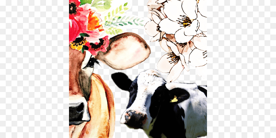 Cow Watercolor Painting, Animal, Cattle, Dairy Cow, Livestock Free Png