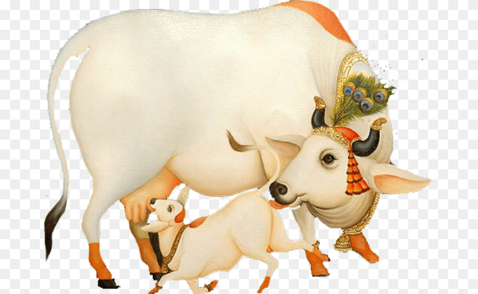 Cow With Krishna, Animal, Bull, Cattle, Livestock Free Transparent Png