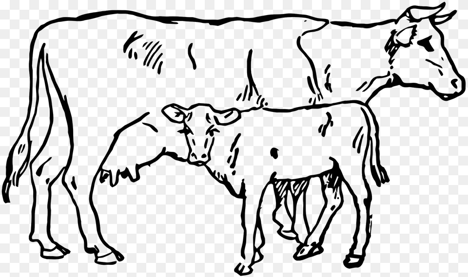 Cowandcalf Inc, Nature, Night, Outdoors, Silhouette Png Image