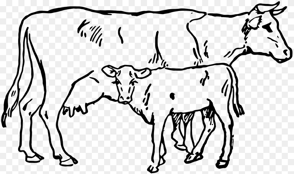 Cowandcalf Inc Clipart, Animal, Calf, Cattle, Cow Png