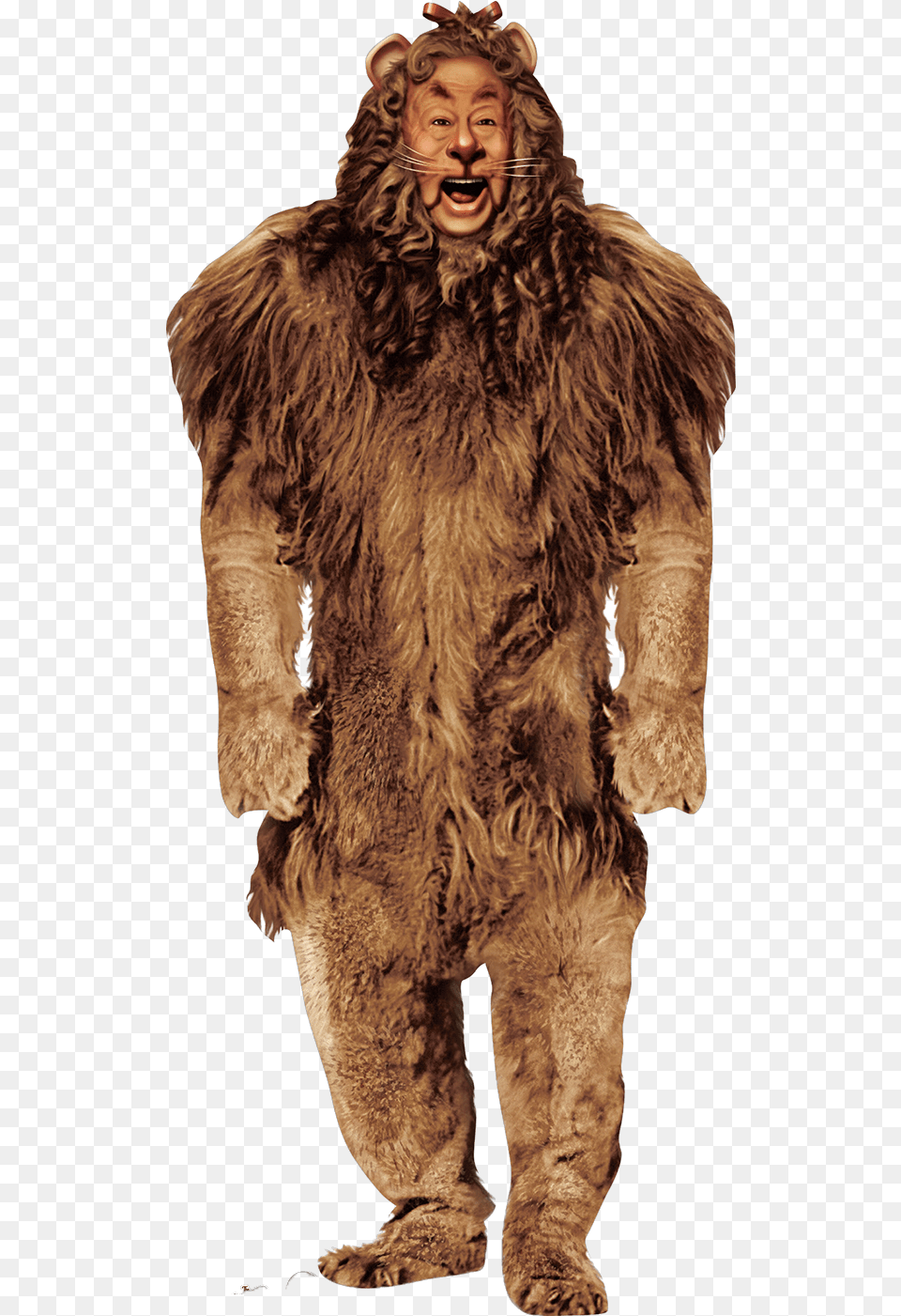 Cowardly Lion In Wizard Of Oz Wizard Of Oz Cowardly Lion, Adult, Male, Man, Person Free Png Download