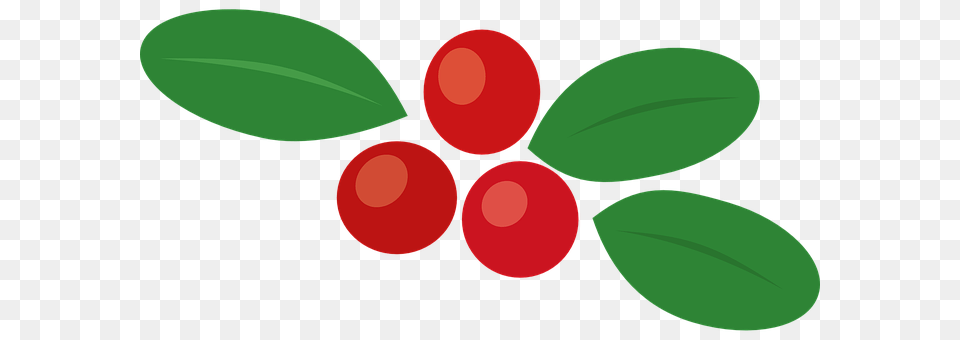 Cowberry Food, Fruit, Plant, Produce Png Image