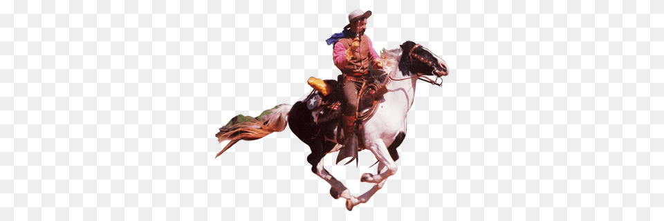 Cowboy, Adult, Man, Male, Person Free Png