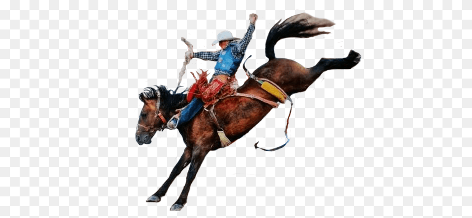 Cowboy, Rodeo, Adult, Male, Man Free Transparent Png