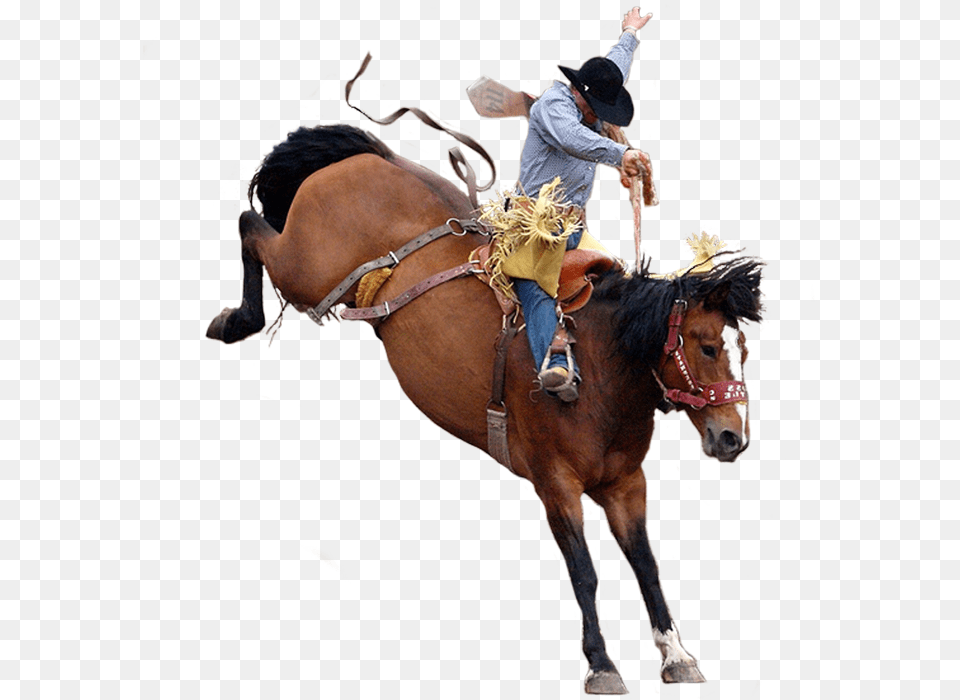 Cowboy, Hat, Clothing, Rodeo, Person Png